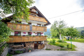 Apartmaji Verica Ceklin